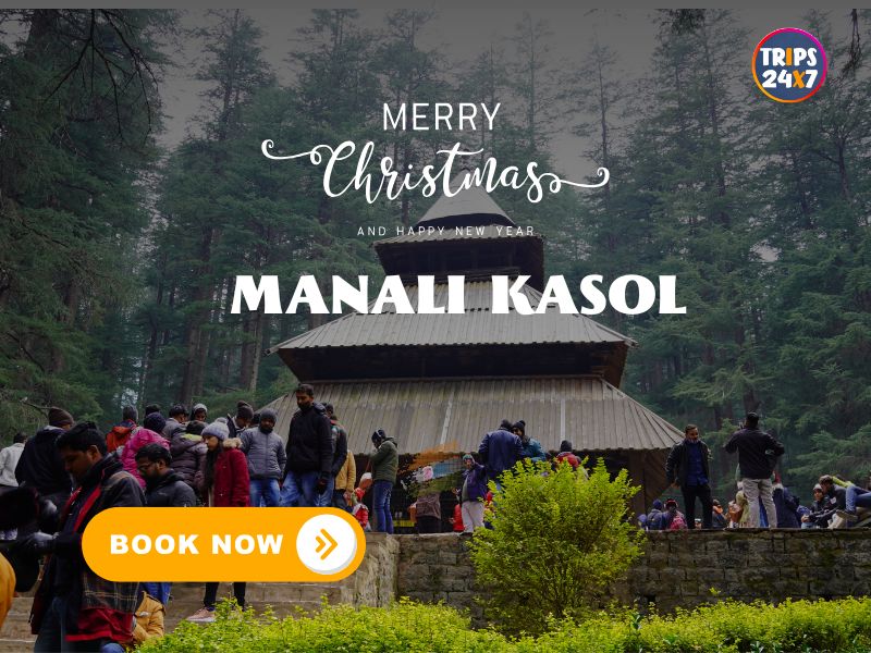 Manali Kasol New Year Trip <span class='menu-badge badge-bounce'>X-mas and New Year</span>