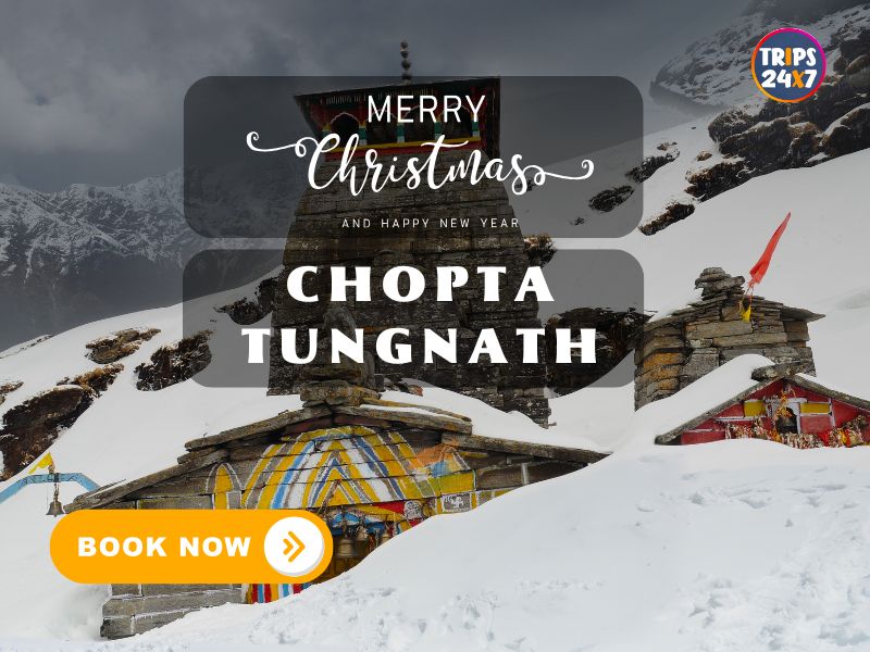 Chopta Tungnath Trip <span class='menu-badge badge-bounce'>Christmas and New Year</span>