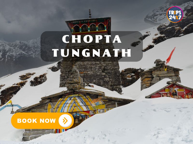 Chopta Tungnath Trip <span class='menu-badge badge-bounce'>This Friday</span>